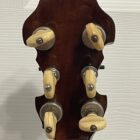 Close view of Heritage Signature Cam Tuner hardware